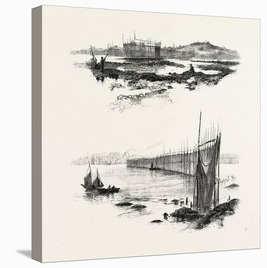 New Brunswick, Salmon Weirs, St. John Harbour, Canada, Nineteenth Century-null-Stretched Canvas