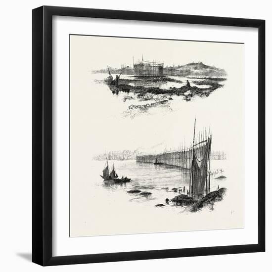 New Brunswick, Salmon Weirs, St. John Harbour, Canada, Nineteenth Century-null-Framed Giclee Print