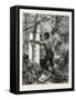 New Brunswick, Stripping or Barking a Tree for Torches, Canada, Nineteenth Century-null-Framed Stretched Canvas