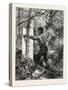 New Brunswick, Stripping or Barking a Tree for Torches, Canada, Nineteenth Century-null-Stretched Canvas