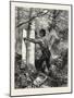 New Brunswick, Stripping or Barking a Tree for Torches, Canada, Nineteenth Century-null-Mounted Giclee Print