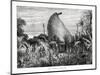 New Caledonian Native Hut, Southwest Pacific, 1877-null-Mounted Giclee Print