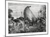 New Caledonian Native Hut, Southwest Pacific, 1877-null-Mounted Giclee Print