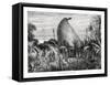New Caledonian Native Hut, Southwest Pacific, 1877-null-Framed Stretched Canvas