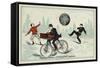 New Century - the Studious Cyclist-null-Framed Stretched Canvas