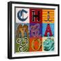 New Chicago-Carla Bank-Framed Giclee Print