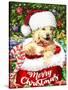 New Christmas puppy-Arnica Burnstone-Stretched Canvas