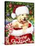 New Christmas puppy-Arnica Burnstone-Stretched Canvas