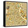 New Delhi Map-Jazzberry Blue-Framed Stretched Canvas