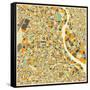 New Delhi Map-Jazzberry Blue-Framed Stretched Canvas