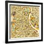 New Delhi Map-Jazzberry Blue-Framed Premium Giclee Print