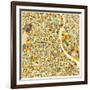 New Delhi Map-Jazzberry Blue-Framed Art Print