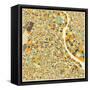 New Delhi Map-Jazzberry Blue-Framed Stretched Canvas