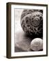 New Discoveries No Border-Sue Schlabach-Framed Photographic Print