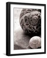 New Discoveries No Border-Sue Schlabach-Framed Photographic Print