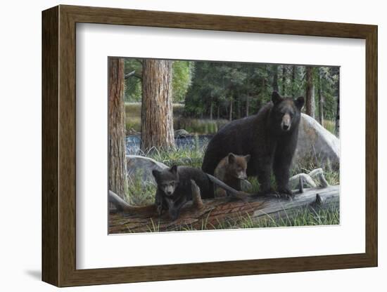 New Discoveries-Kevin Daniel-Framed Art Print