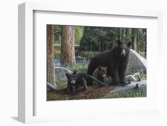 New Discoveries-Kevin Daniel-Framed Art Print