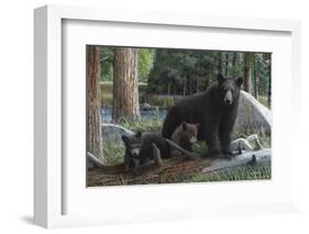 New Discoveries-Kevin Daniel-Framed Art Print