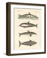 New Dolphins-null-Framed Giclee Print