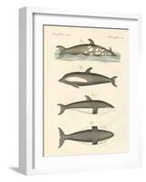 New Dolphins-null-Framed Giclee Print