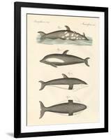 New Dolphins-null-Framed Giclee Print