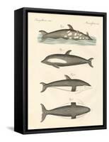 New Dolphins-null-Framed Stretched Canvas