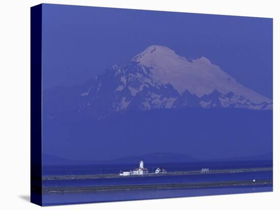 New Dungeness Lighthouse on Dungeness Bay, Washington, USA-Jamie & Judy Wild-Stretched Canvas