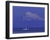 New Dungeness Lighthouse on Dungeness Bay, Washington, USA-Jamie & Judy Wild-Framed Premium Photographic Print