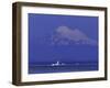 New Dungeness Lighthouse on Dungeness Bay, Washington, USA-Jamie & Judy Wild-Framed Photographic Print