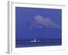 New Dungeness Lighthouse on Dungeness Bay, Washington, USA-Jamie & Judy Wild-Framed Photographic Print