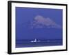 New Dungeness Lighthouse on Dungeness Bay, Washington, USA-Jamie & Judy Wild-Framed Photographic Print