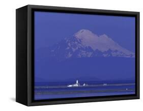 New Dungeness Lighthouse on Dungeness Bay, Washington, USA-Jamie & Judy Wild-Framed Stretched Canvas