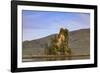 New Eddystone Rock, late afternoon summer sun, Behm Canal, Misty Fjords National Monument, Ketchika-Eleanor Scriven-Framed Photographic Print