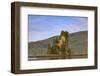 New Eddystone Rock, late afternoon summer sun, Behm Canal, Misty Fjords National Monument, Ketchika-Eleanor Scriven-Framed Photographic Print