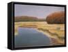 New England Autumn, 1990-Lillian Delevoryas-Framed Stretched Canvas