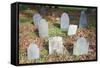 New England Cemetery-Joseph Sohm-Framed Stretched Canvas