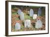 New England Cemetery-Joseph Sohm-Framed Photographic Print