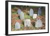 New England Cemetery-Joseph Sohm-Framed Photographic Print