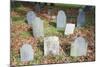 New England Cemetery-Joseph Sohm-Mounted Photographic Print