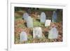 New England Cemetery-Joseph Sohm-Framed Photographic Print