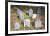 New England Cemetery-Joseph Sohm-Framed Photographic Print