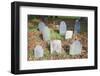 New England Cemetery-Joseph Sohm-Framed Photographic Print