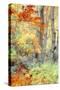 New England Fall Color Impressions-Vincent James-Stretched Canvas