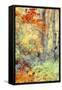 New England Fall Color Impressions-Vincent James-Framed Stretched Canvas