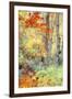 New England Fall Color Impressions-Vincent James-Framed Premium Photographic Print