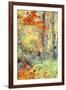 New England Fall Color Impressions-Vincent James-Framed Premium Photographic Print