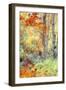 New England Fall Color Impressions-Vincent James-Framed Photographic Print