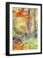 New England Fall Color Impressions-Vincent James-Framed Photographic Print