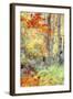 New England Fall Color Impressions-Vincent James-Framed Photographic Print