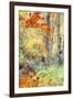 New England Fall Color Impressions-Vincent James-Framed Photographic Print